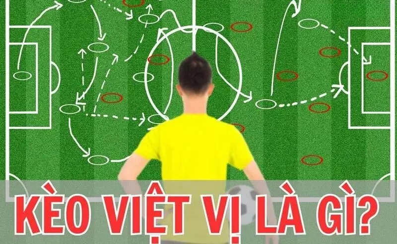 Thể loại đầy mới mẻ tr&ecirc;n thị trường c&aacute; độ b&oacute;ng đ&aacute;&nbsp;